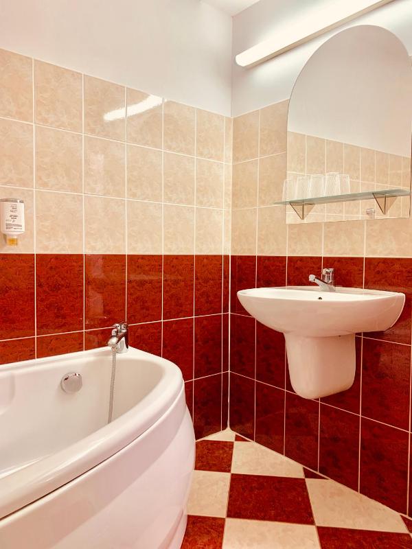 Family Room with Bath image 3