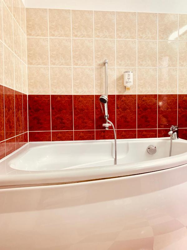 Family Room with Bath image 4