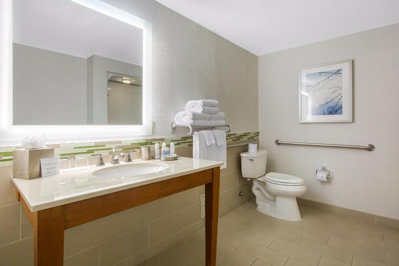 ADA Deluxe Room with 1 King Bed with Roll in Shower image 2