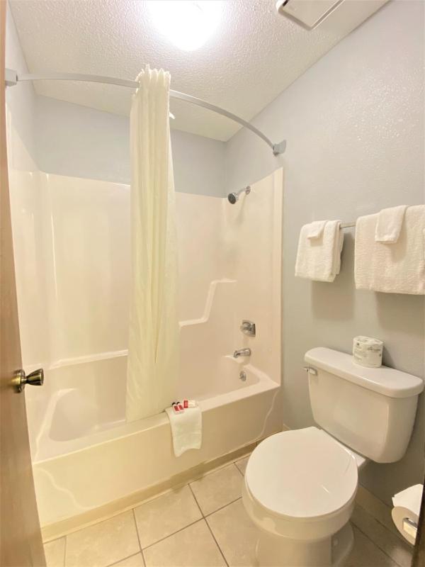 Large Single Room image 3