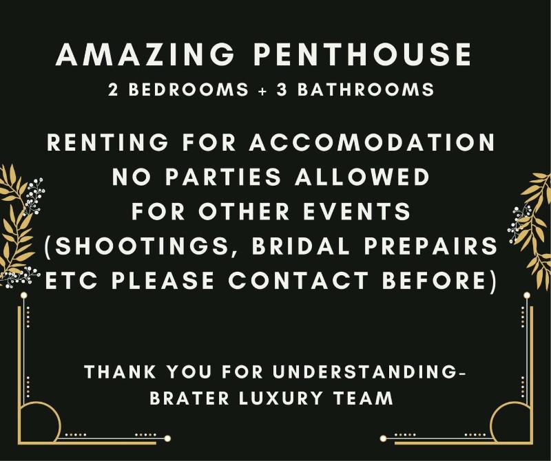 Penthouse Apartment image 2