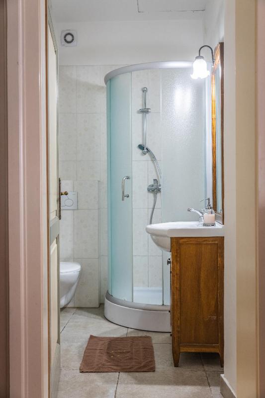 One-Bedroom Apartment image 3