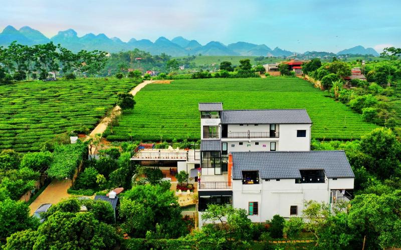 Moc Chau Cottage homestay - image 18