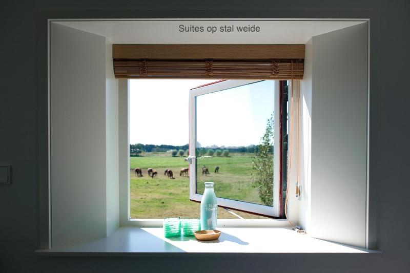 Suite image 2