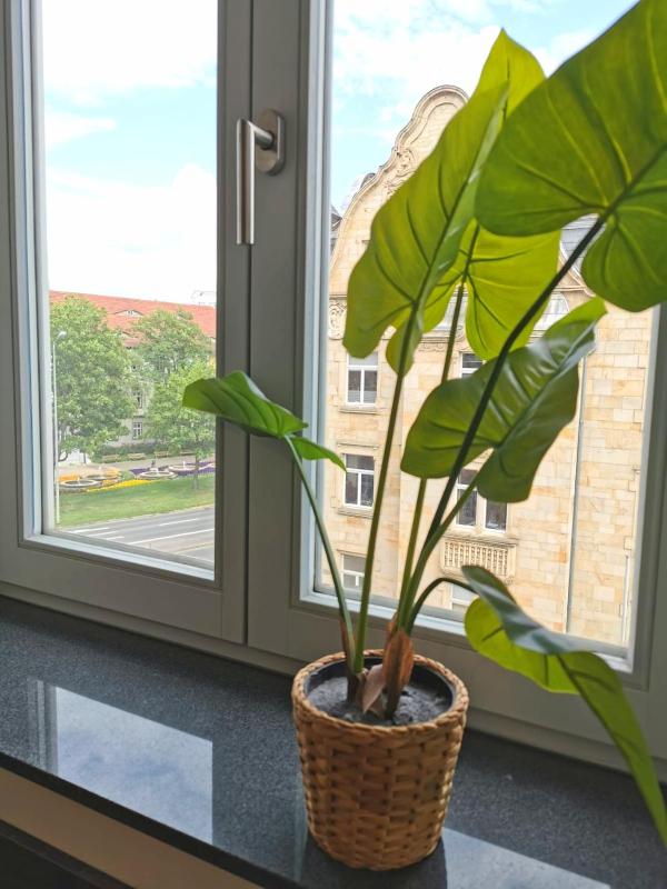 BohnApartments Altstadt-Loft - Wasserbett - Parkplatz - WLAN - Zentrum - image 25