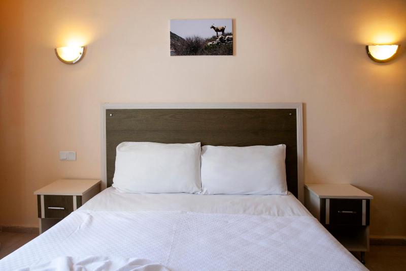 One Bedroom Apartment image 4