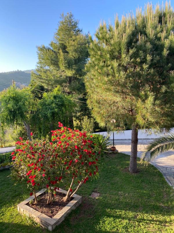 Villa Xanthippi - image 11