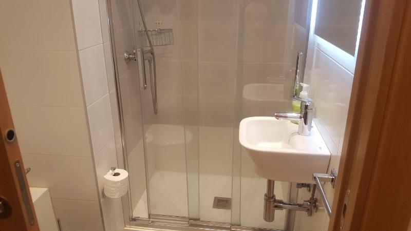 Apartamento Amplio y Central a pie de Playa la Concha - image 19