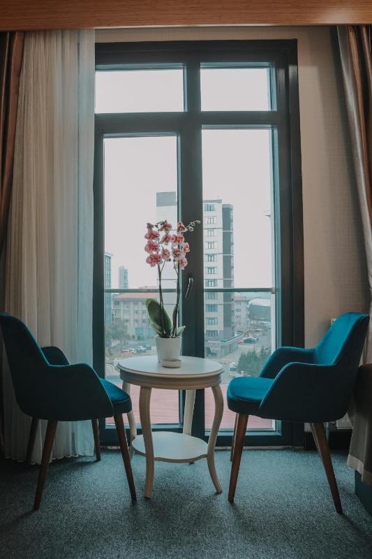 Deluxe Twin Room image 2