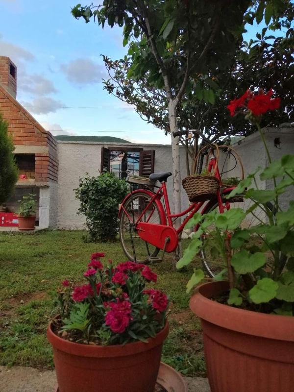 Vacation house Vila Guma Rastani Mostar - image 10