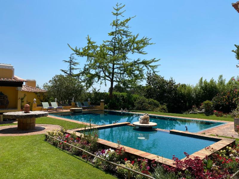 Quinta das Pedras - Small Luxury Guesthouse - image 9