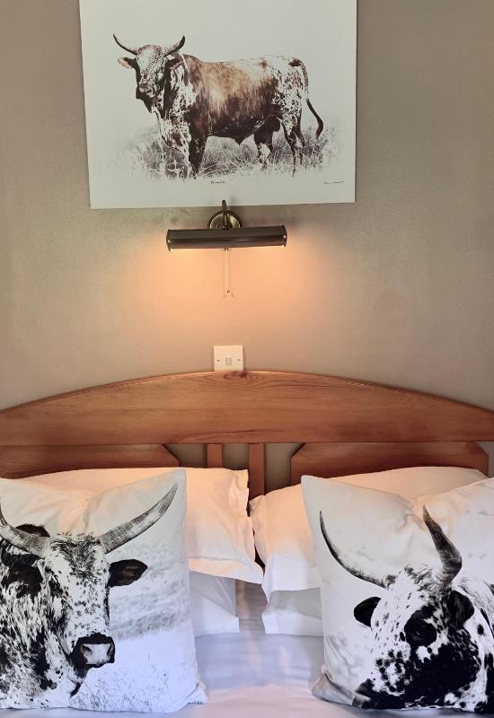 King Room image 1