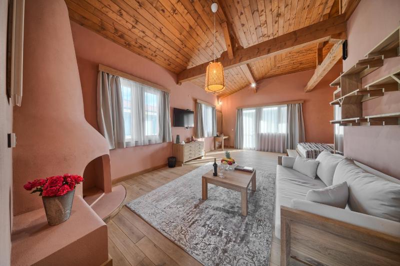 Standard Villa image 3