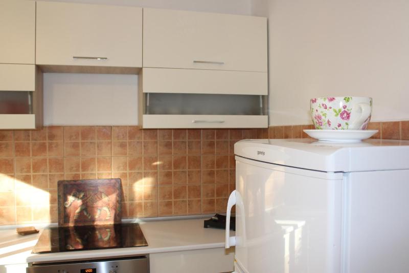 One-Bedroom Apartment image 3