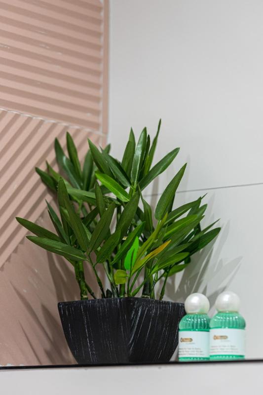 Duplex Studio image 4