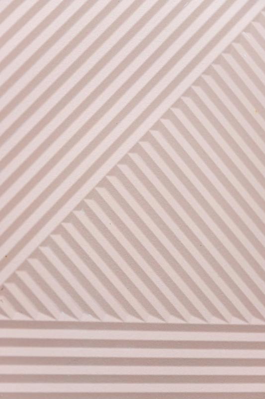 Duplex Studio image 2