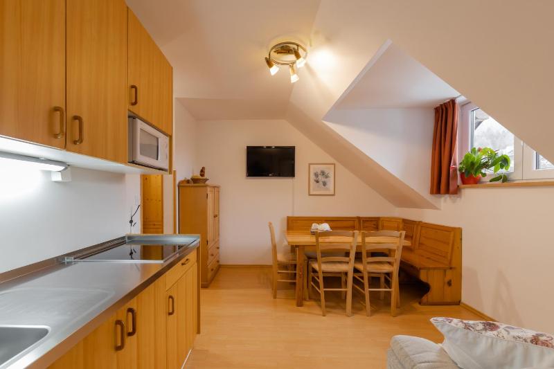 One-Bedroom Apartment (4-5 Adults) image 4