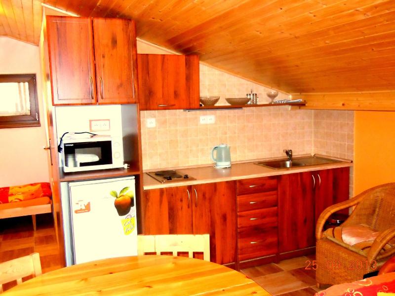 One-Bedroom Apartment (4 Adults) image 2