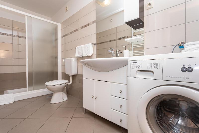 One-Bedroom Apartment image 4