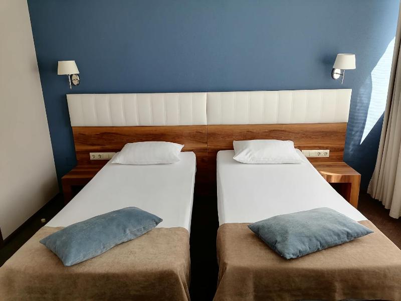 Deluxe Double or Twin Room image 3