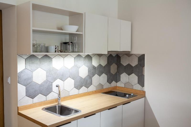 One-Bedroom Apartment image 4