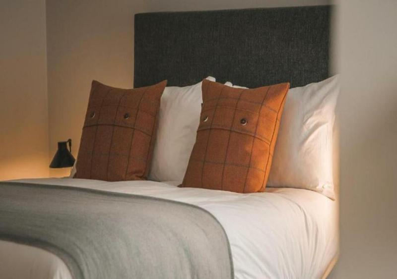 Deluxe King Room image 4