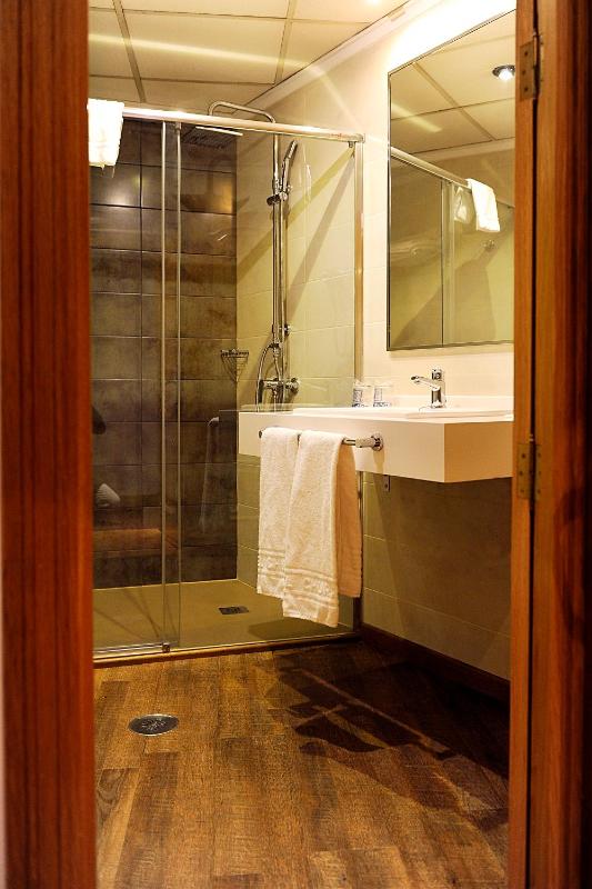 Single Room image 4