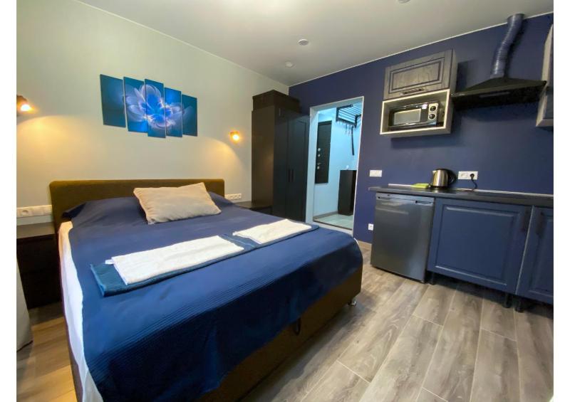 One-Bedroom Apartment image 2