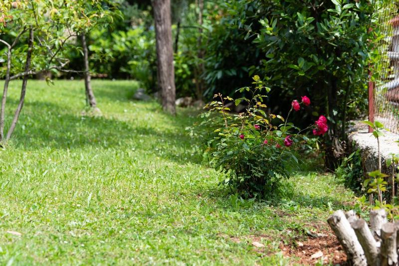 One Bedroom Apartment with Balcony image 3