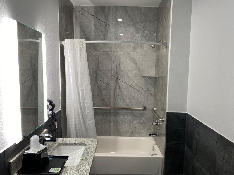 Deluxe King Room image 4