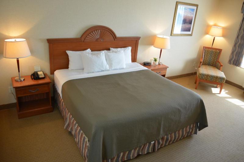 King Room image 1