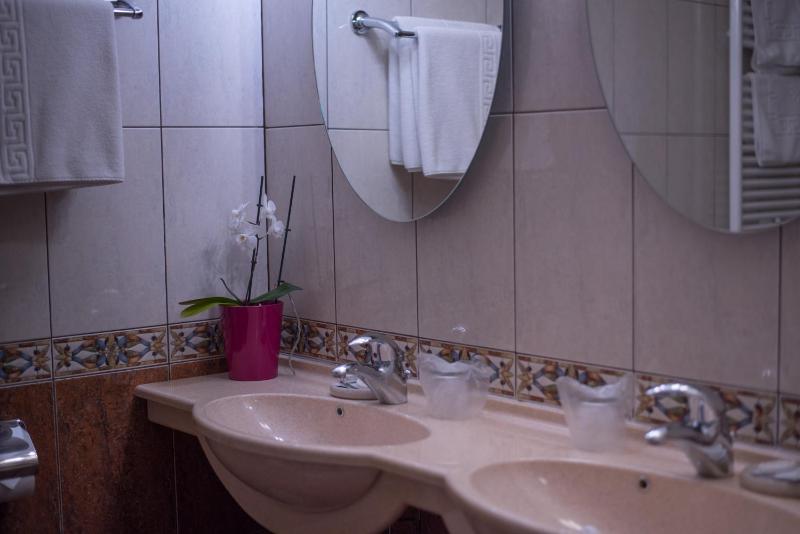 Double or Twin Room image 4