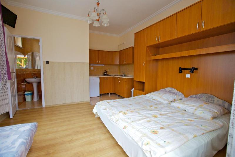 Ami - image 3
