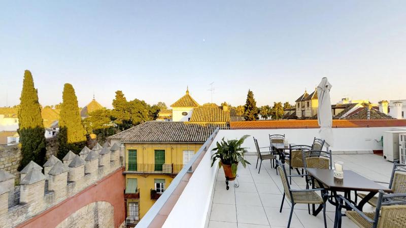 Suites Murillo Alcázar - image 4