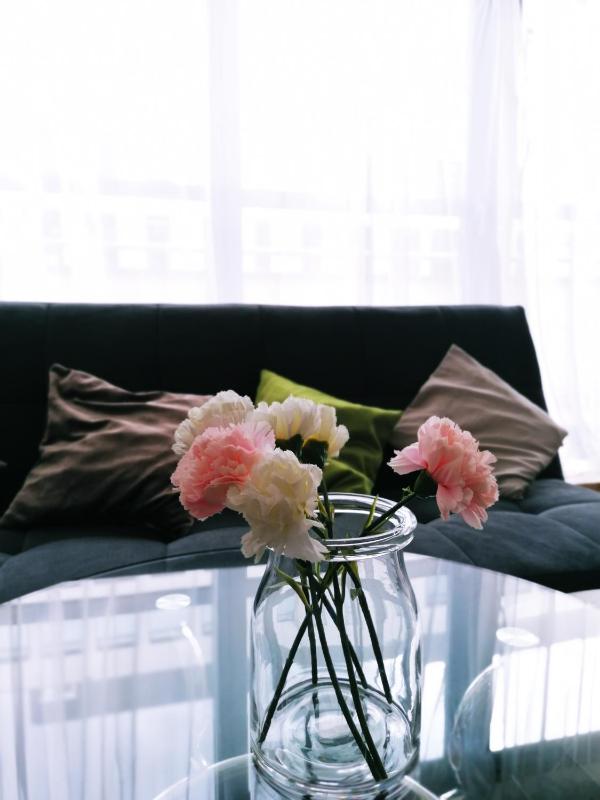 Apartment - Split Level image 2