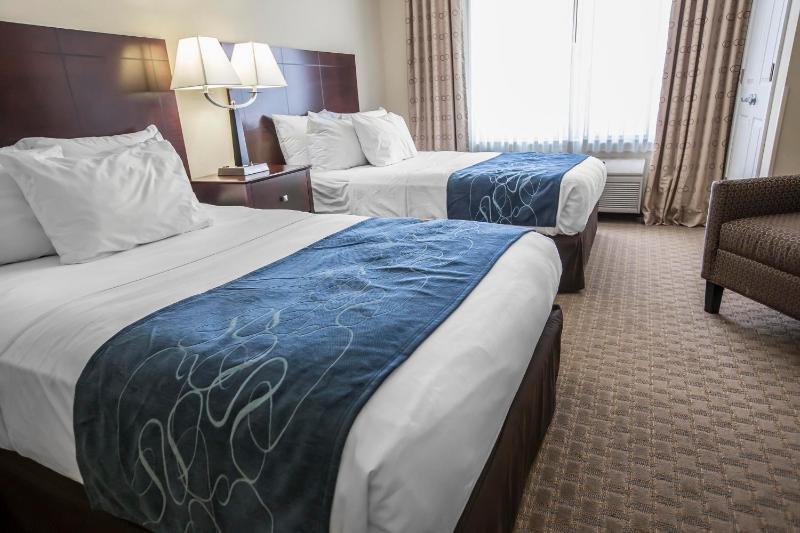 Double Suite with Two Double Beds image 3