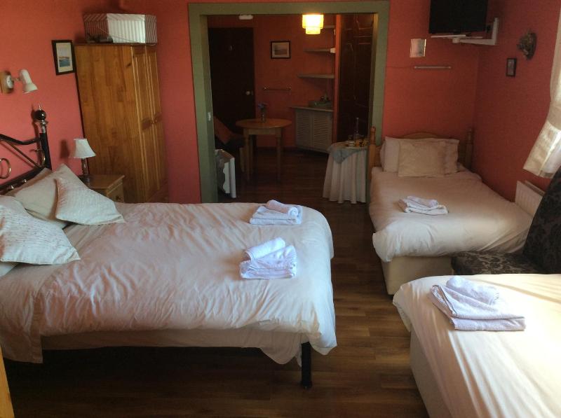 Family Room with Private Bathroom image 3