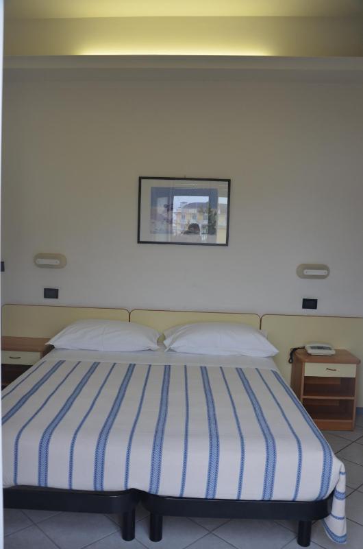 Double or Twin Room image 2
