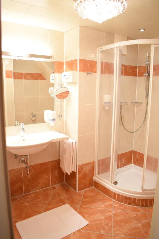 Standard Double Room image 3