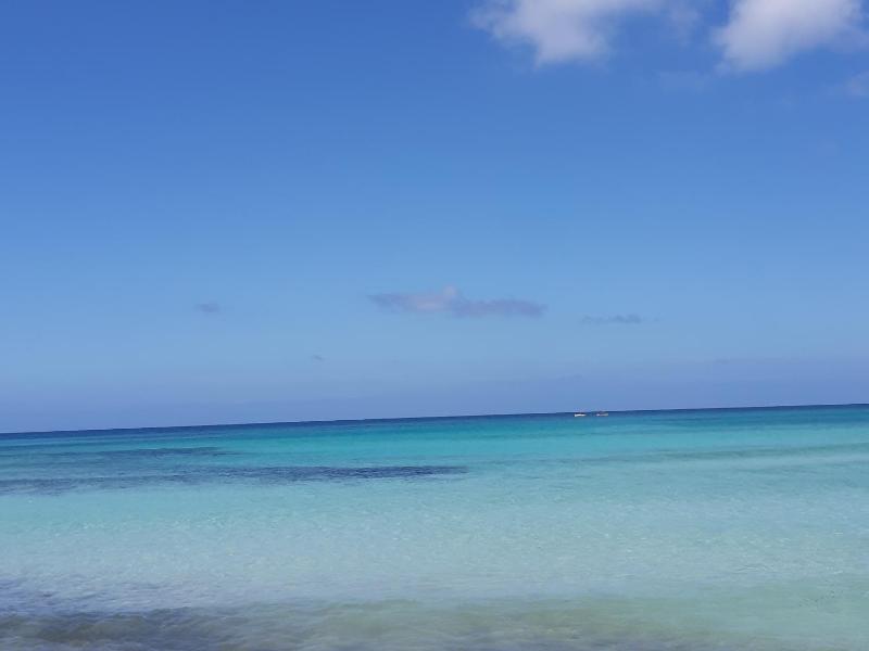 Finestra Azzurra - image 2