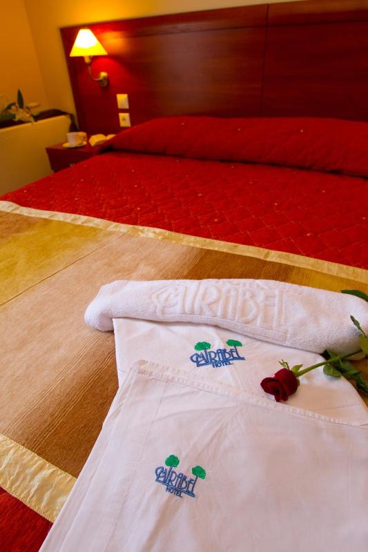 Double or Twin Room image 2