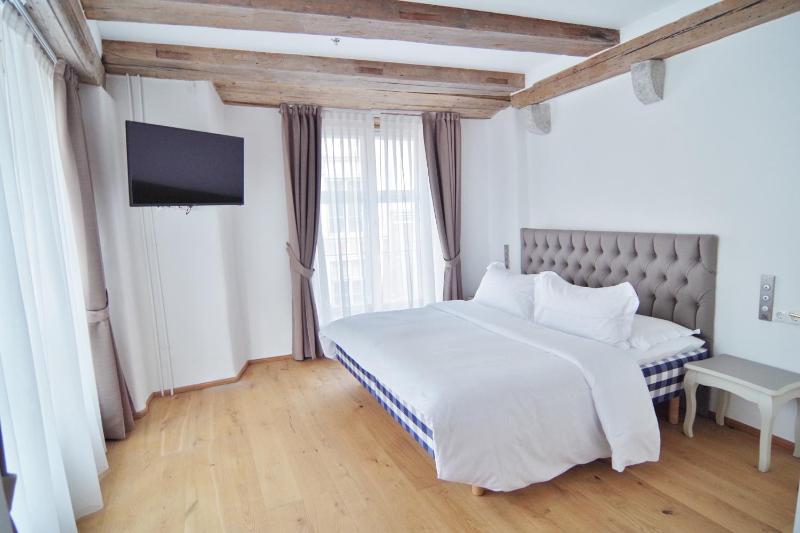 One-Bedroom Apartment image 4