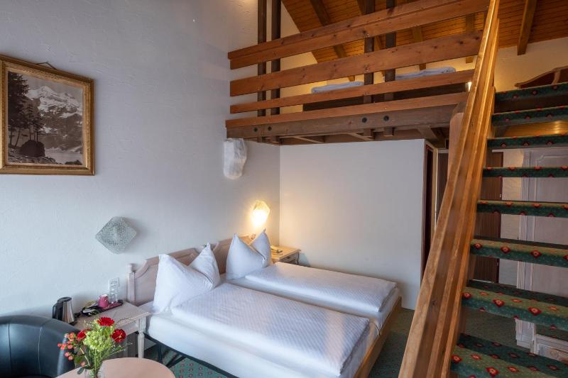 Hotel Chalet Swiss - image 12