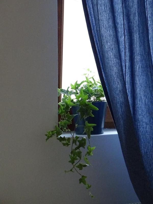 Blue Apartment - image 14