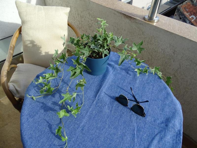 Blue Apartment - image 6
