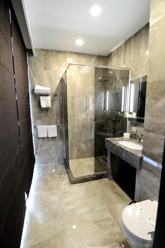 Standard Double or Twin Room image 4