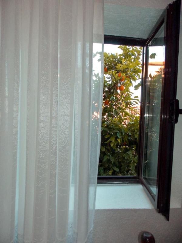 Twin Room image 4