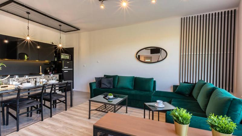 One-Bedroom Apartment image 2