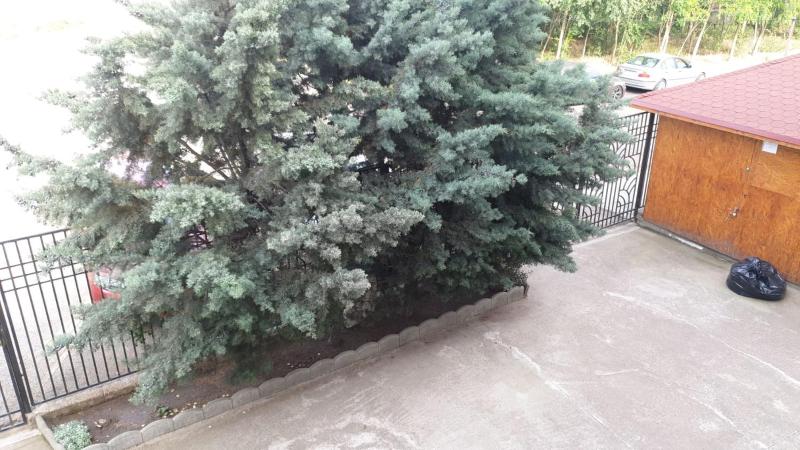 Casa Vienna - image 27