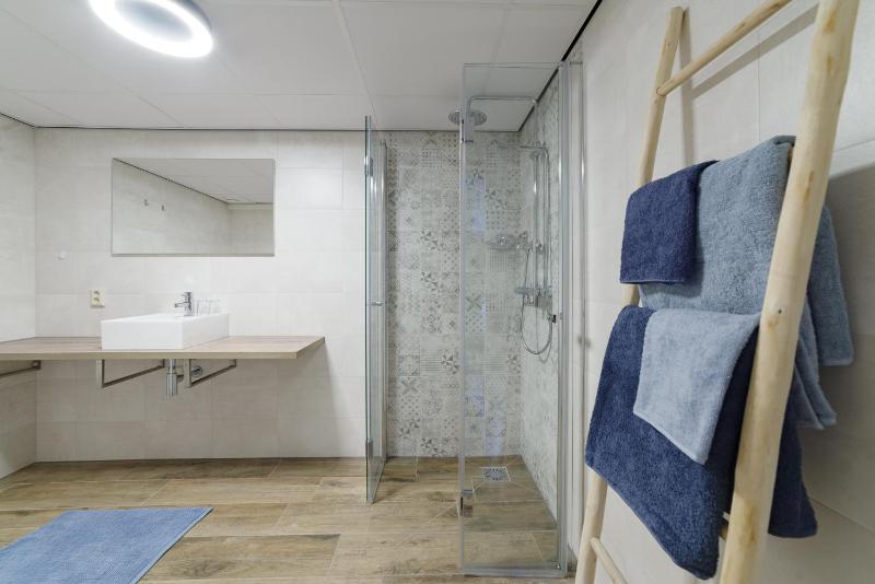 King Room with Roll-In Shower - Disability Access image 2